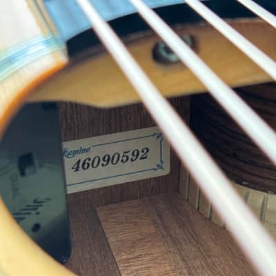 Takamine DMP700 MRC Spruce/Madagascar Rosewood 2008 Japan image 6