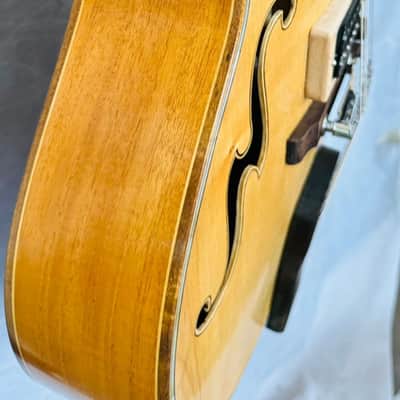 Blueberry Handmade Hollow Body Electric Guitar Rapunzel Motif image 9