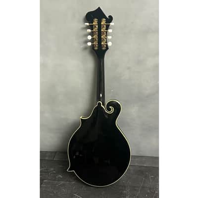 Michael Kelly Dragonfly Mandolin F-style Acoustic Electric image 4