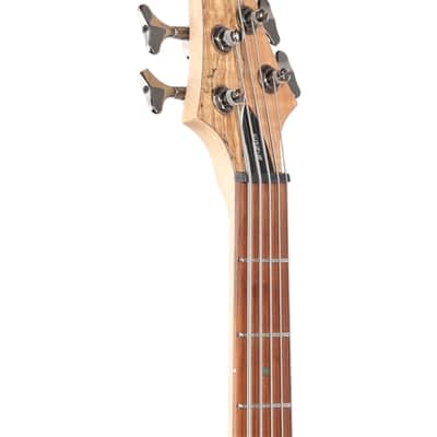 ESP LTD B205SM 5-String Electric Bass Guitar Natural Satin image 4