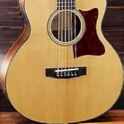 Cort LCJWAOP Little CJ Walnut Spruce Top Mahogany Neck, Acoustic-Electric w/Gig Bag (B-Stock) image 9