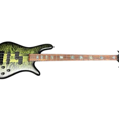 Spector USA NS-2, Haunted Moss / Pau Ferro *On Order, ETA November 2026 image 6