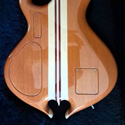 Alembic Darling 2023 - polyester image 11
