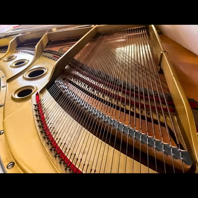 Acoustic luxury: White Yamaha G3 Grand piano image 6