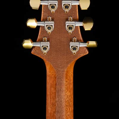 PRS Custom 24-08 Blue Fade 10 Top (299) image 6