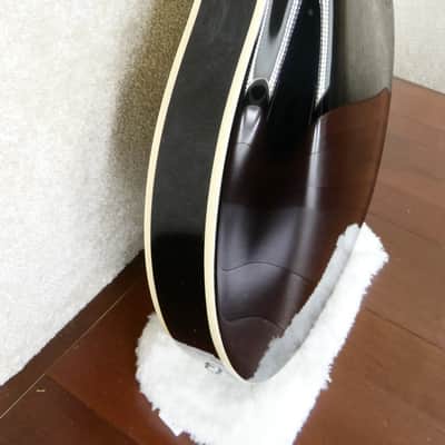 Silvertone 1446 1960s - Black #M25111129 NEW With Trapeze Tailpiece image 11