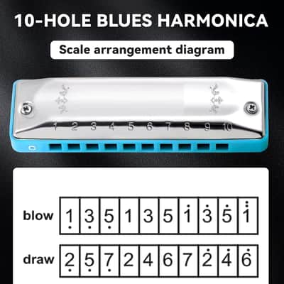 Blue Silver 10 Hole A Key Diatonic Blues Harmonica, Case Included | Premium Durable Brass Reeds Mouth Organ for Beginners, Students, Adult Musicians, Ideal Gift for Daily Practice Stage Play image 2