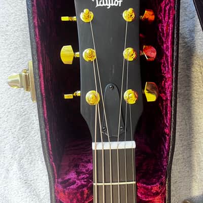 Taylor 224ce UA DLX LTD 2022 image 9