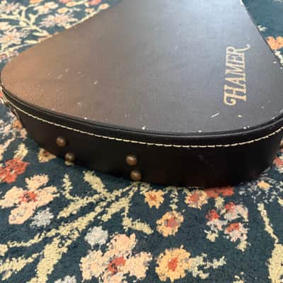 Hamer V Hardshell Case image 8