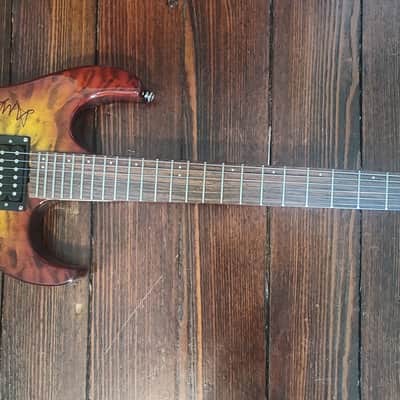 Washburn X Series Guitar (Signed by "Lacuna Coil") image 12
