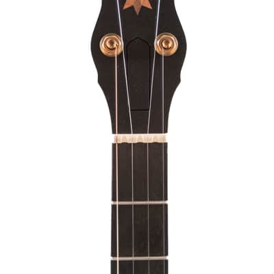 Pisgah Wonder 11" Open Back Banjo image 7