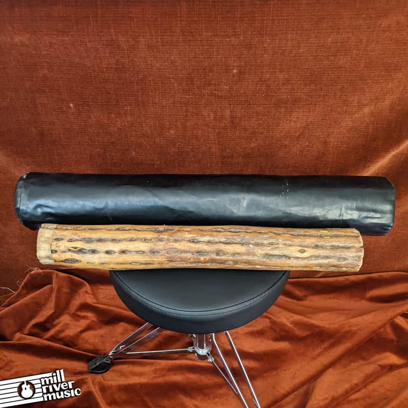 Unbranded Cactus Rainstick Percussion Instrument w/ Bag image 1
