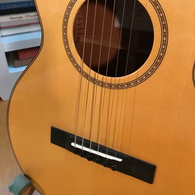 Flammang Parlor Guitar image 3