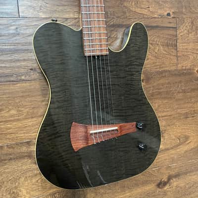 Sadowsky Electric Nylon image 1