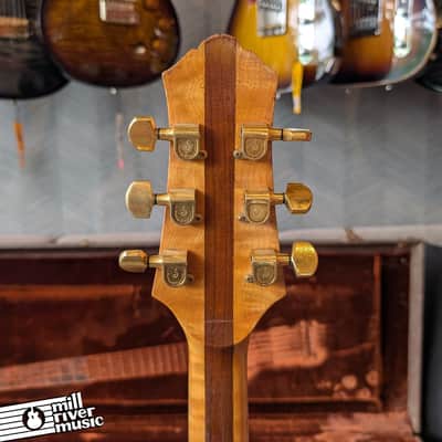 Oasis Electric Guitar by Gary Cooper Alembic Luthier image 5