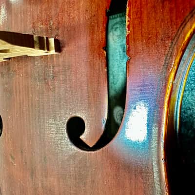 G A Chanot 4/4 Violin image 10