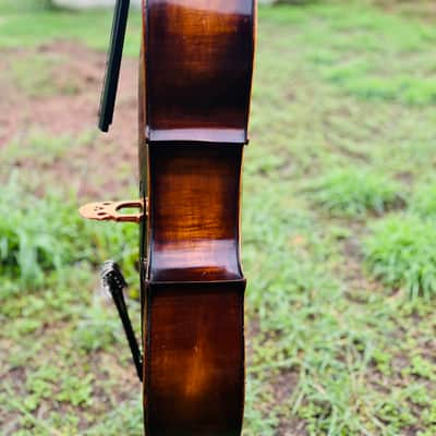 Immagine Giuseppe Petrazzini Cello 1890's Italian Labeled - 5