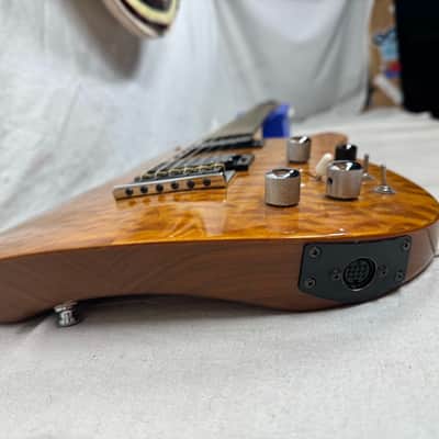 Brian Moore iM i2000 Series Model iGuitar8.13 iGuitar 8.13 Guitar with Roland Synth Access + Gig Bag - MIK Made In Korea 2001 image 18