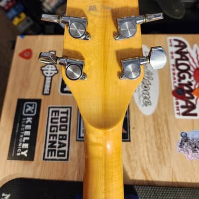 Gretsch 8215 BST-1000 Beast HH | 1979 | Red Mahogany image 20