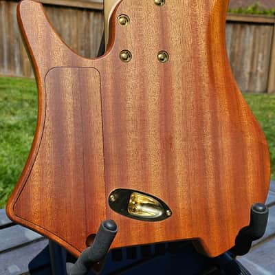 Swan RHO 5 Special NAMM 2022 image 4