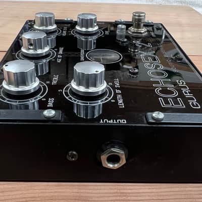 Early Gurus Echosex 2 Echorec Replica image 6