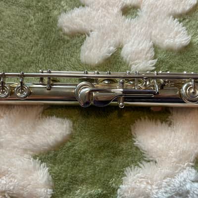 Solexa 201 Flute – Full Setup w/ Hard Case, Travel Case, Cleaning Kit + Plugs image 6