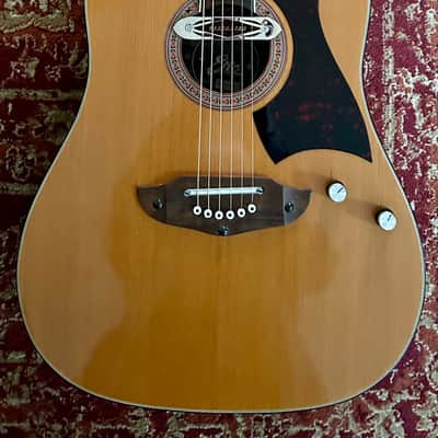 Eko Rio Bravo 6. 1970-ish - Natural with Deltaluxe sound hole pickup image 1