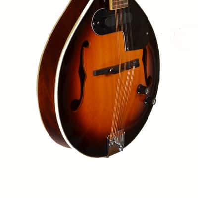 Fender FM52E – Acoustic/Electric Mandolin w/ Gig Bag – Used - Sunburst image 3