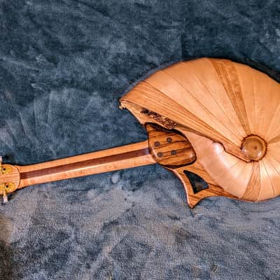 Raysrootworks 10 string shell back tenor ukulele. image 17