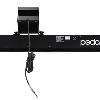Nord PK27 27-Key MIDI Foot Pedal Board image 5