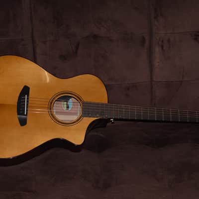 Breedlove Organic Pro Performer Thinline 2024 - Gloss image 4