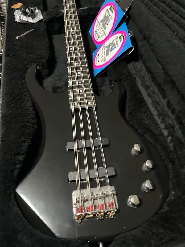 Custom 12-string Bass image 1