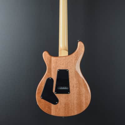 Paul Reed Smith SE Custom 24 '22 image 5