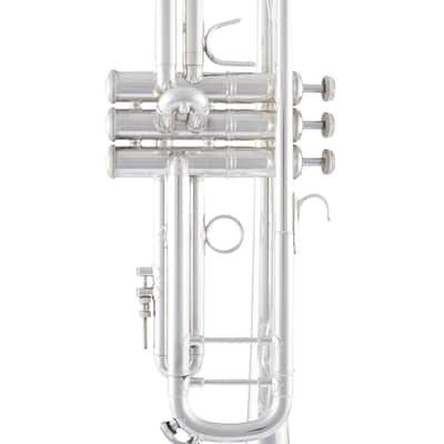 Bach ML190S-43 Stradivarius in B image 5