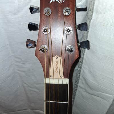 Peavey DW-2 Dreadnought Acoustic/Electric Guitar with Built-In Tuner 2010s - Natural image 11