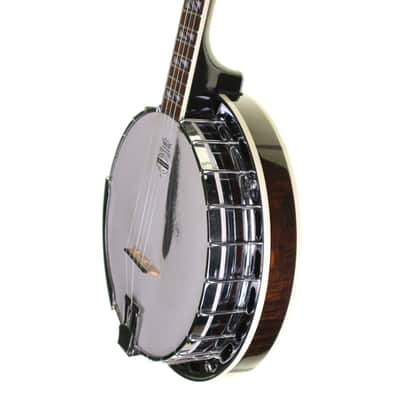 Washburn B160 Sonny Smith Signature 5-String Banjo image 7