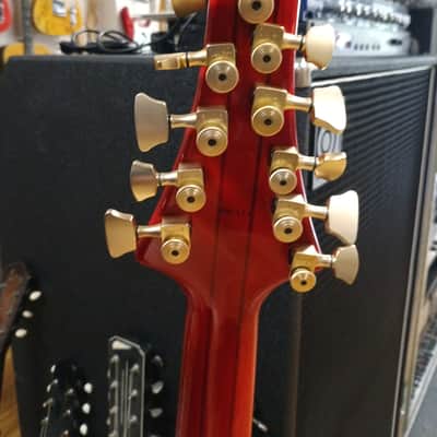Tune TWB 10-T-OB (10 String Bass) - Red-See-Thru image 6