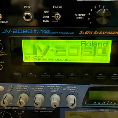 Roland JV-2080 64-Voice Synthesizer Module 1997 - 2000 - Black