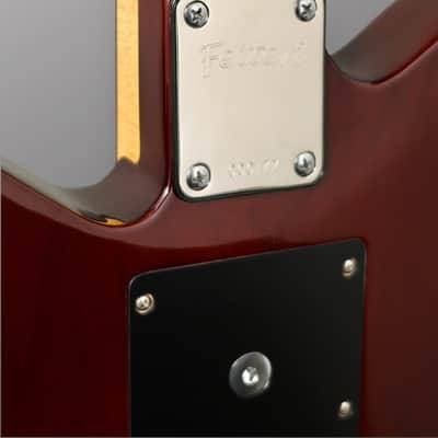 Buzz Feiten - Supernova Custom Owned & Signed by Vince Gill - 2014 - Sunburst. image 13