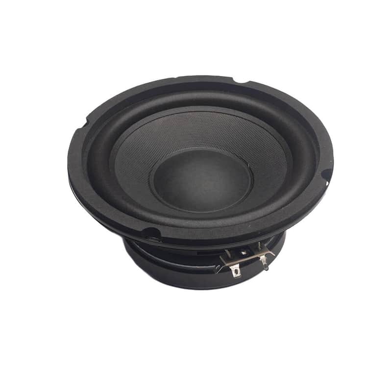 Fishman Loudbox Mini 6.5″ Woofer image 1