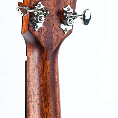 Eastman E1SS Sunburst image 6