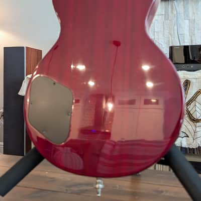 Aria Pro II LS-800VD Leopard Model 1980 - Cherry Sunburst - Les Paul Standard - Made In Japan - MIJ image 5