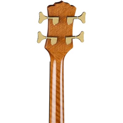 Luna Vista Bear Bass Acoustic Electric Bass Guitar w/ Hardshell Case image 6