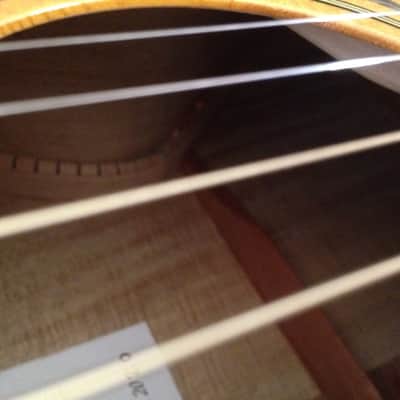2020 Darren Hippner Shivam Acoustic Guitar Luthier Sitka Spruce OM Auditorium Model Waverly OHSC USA image 15