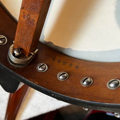 Immagine 1924 Vega Senator Plectrum 4-String Banjo - 7