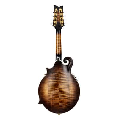 Ortega Guitars RMFE100AVO F-Style Series All Solid A/E Mandolin image 6