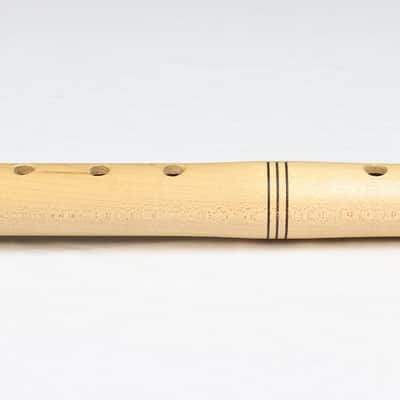 Chris Ti Coom "Am" Native American Inspired Flute w/ Bag, USA, Excellent! #31480 image 3