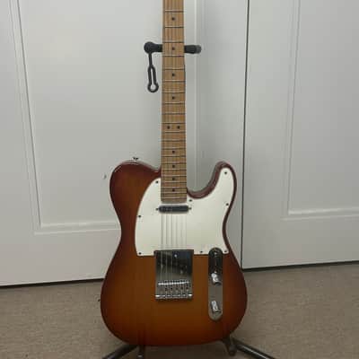 Fender Ltd Ed Player Telecaster with Roasted Maple Fretboard - Sienna Sunburst image 1