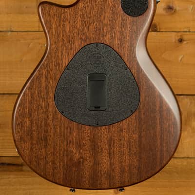 Taylor T5z Series | T5z Classic image 2
