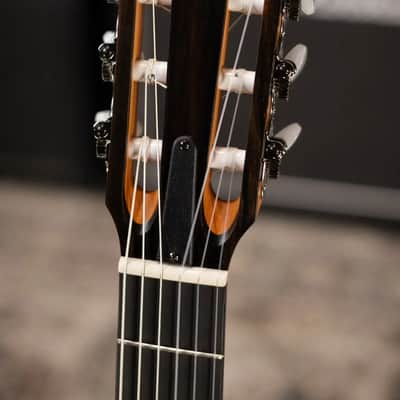 Taylor 112ce-N Nylon Grand Concert Acoustic/Electric Guitar with Gig Bag image 6